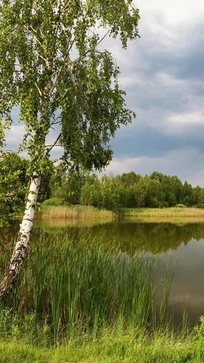 📸Мы продолжаем нашу поэтическую видеоэстафету, посвящённую Всемирному дню поэзии.  🎬 Сегодня в кадре
