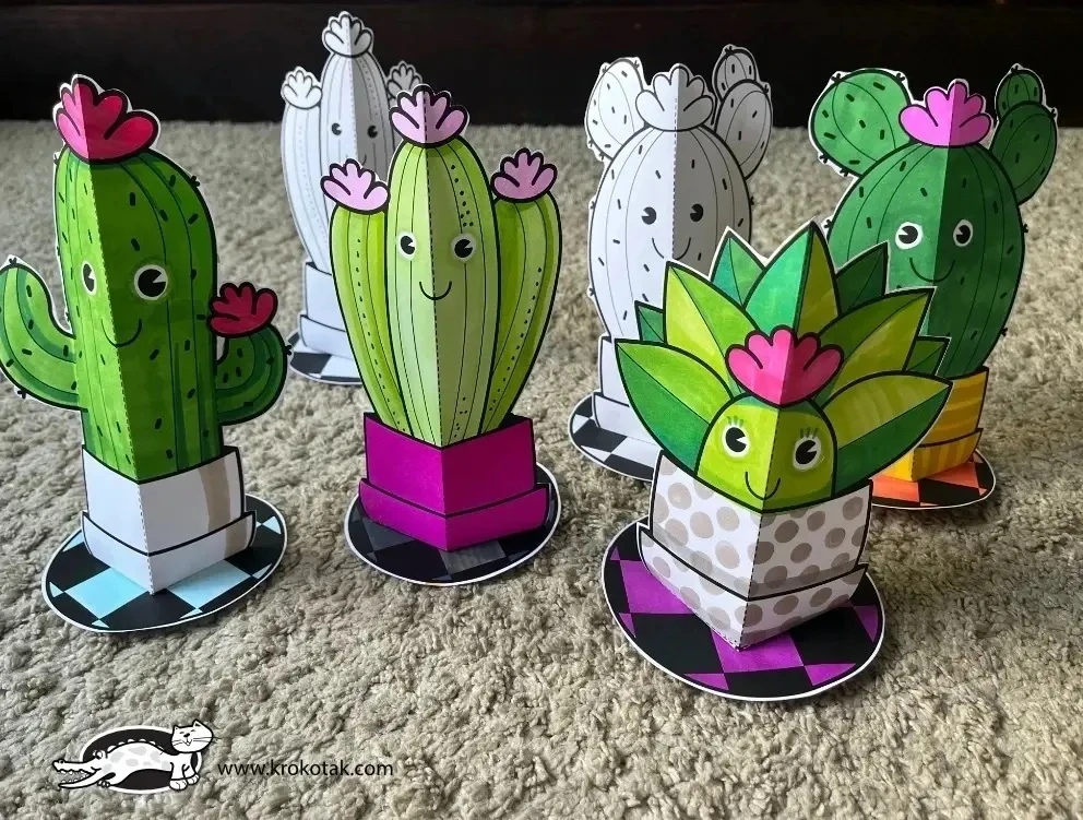 Кактусы 🌵