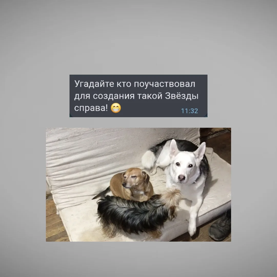 Звёзда мне очень напомнила одну историю 😂