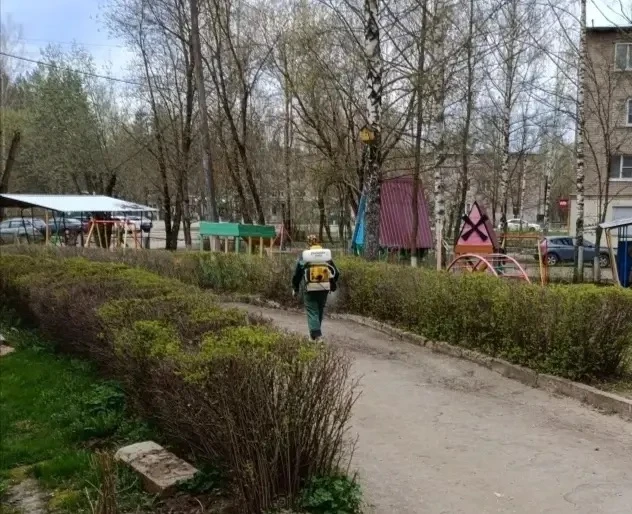 ♻️ Обработка прогулочных участков в детском саду от клещей — важная профилактическая ме...
