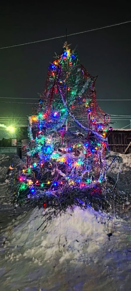 Сегодня в центре села установили новогоднюю ель🎄