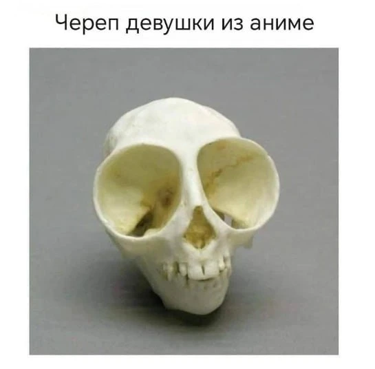 #юмор