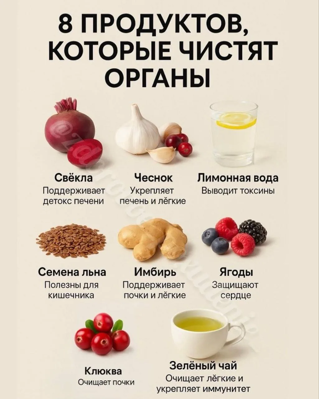 8 продуктов, которые чистят органы ✍️