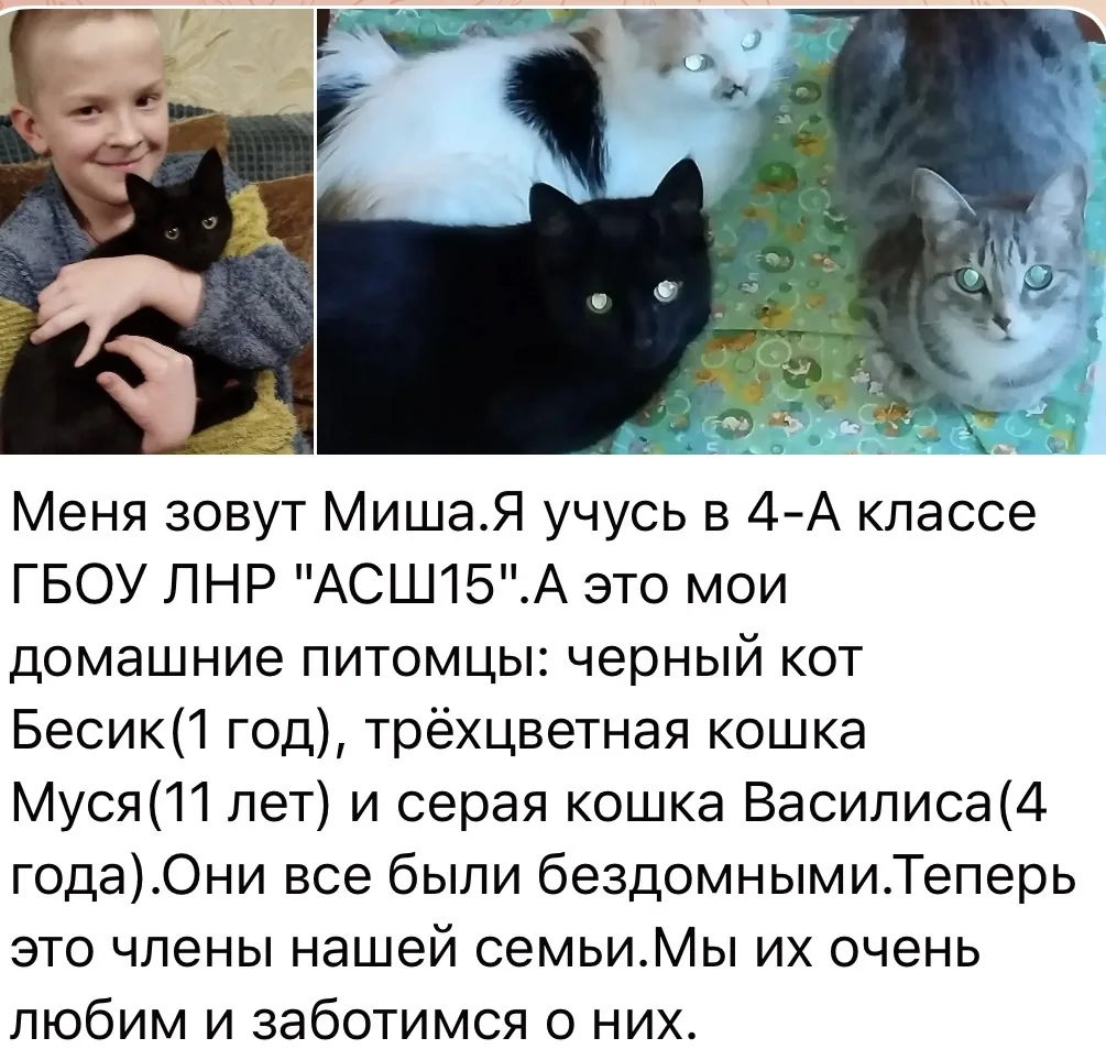 Рубрика Пушистые друзья пятнашек!