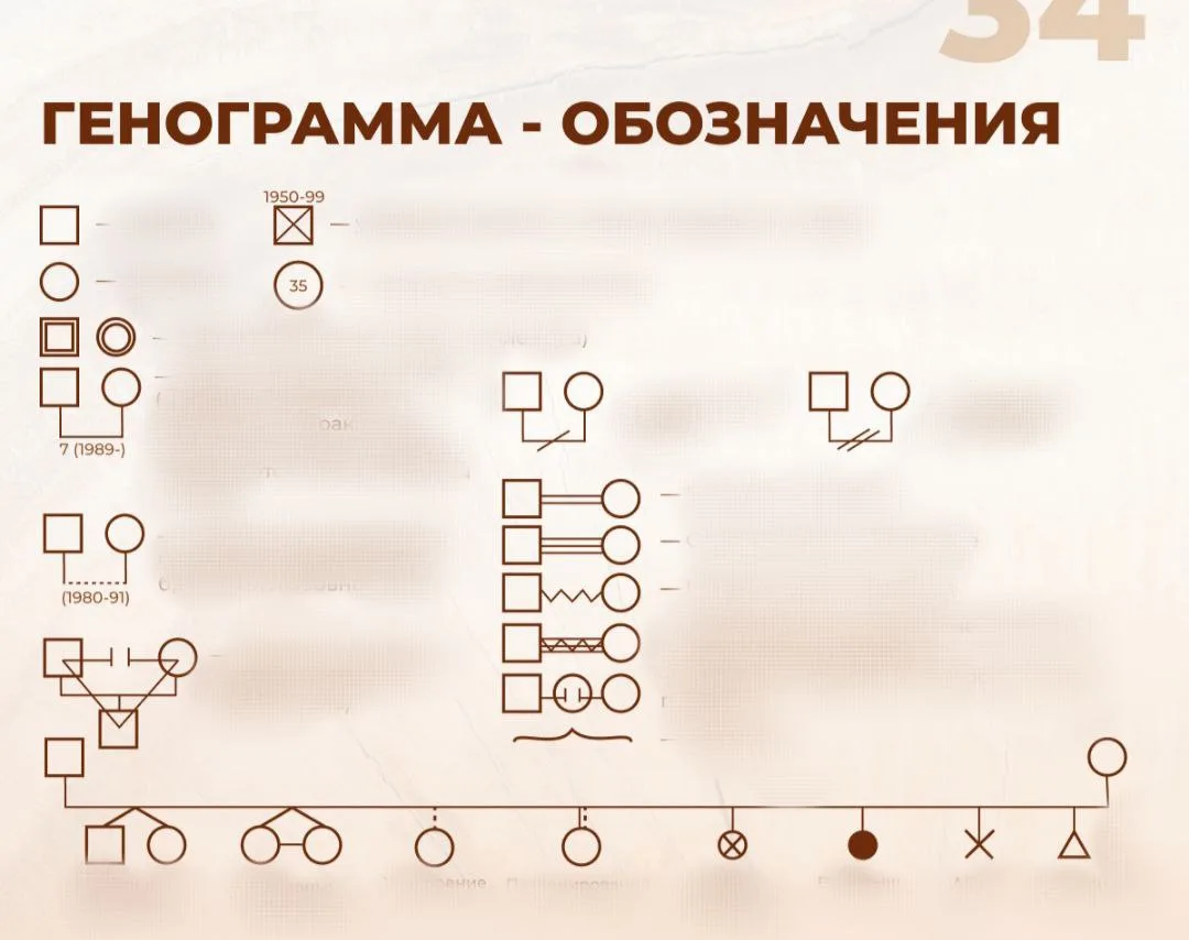🔍 Почему на курсе расстановок мы обязательно изучаем генограмму