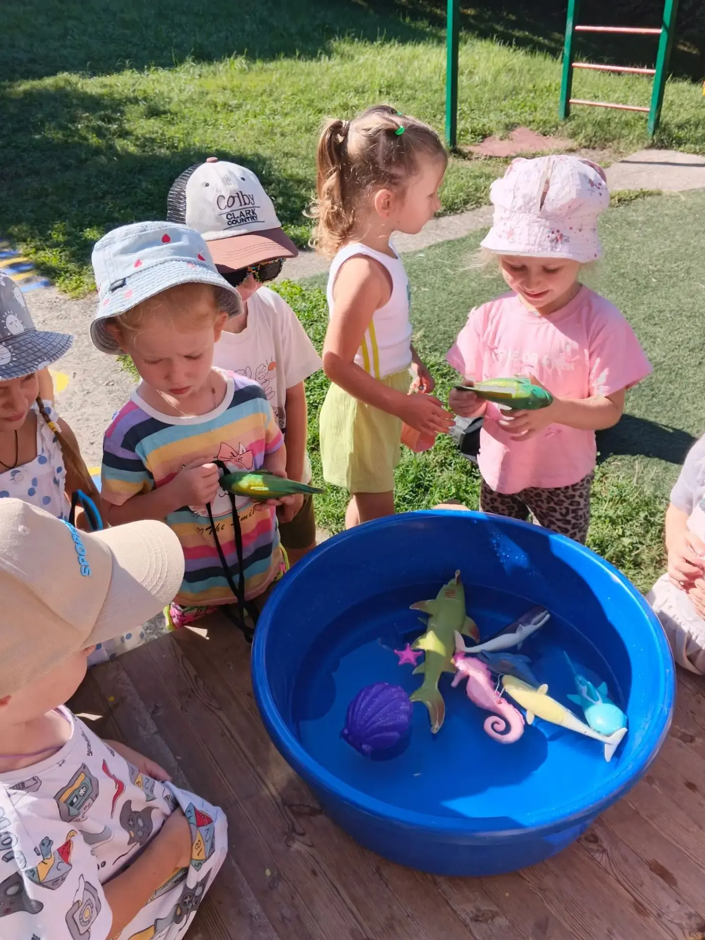 ☀️ Солнце, воздух и вода — наши лучшие друзья! ☀️