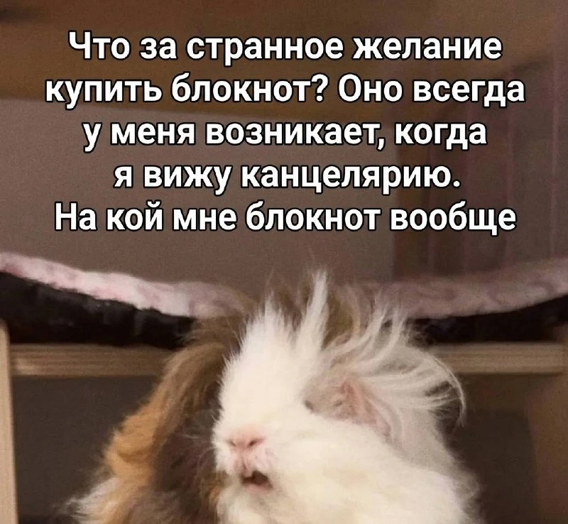 Заметили, что процесс покупки детям канцелярии к школе в итоге превращается в закупки д...