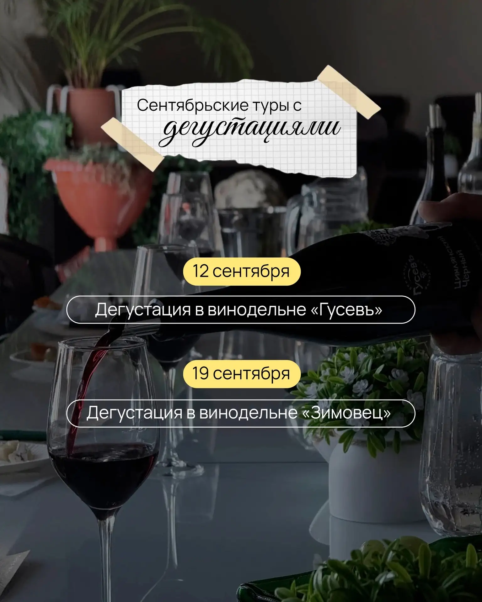 Идеальный план на выходные: бокал вина, вкусный сыр и никаких забот. Звучит? 🍷