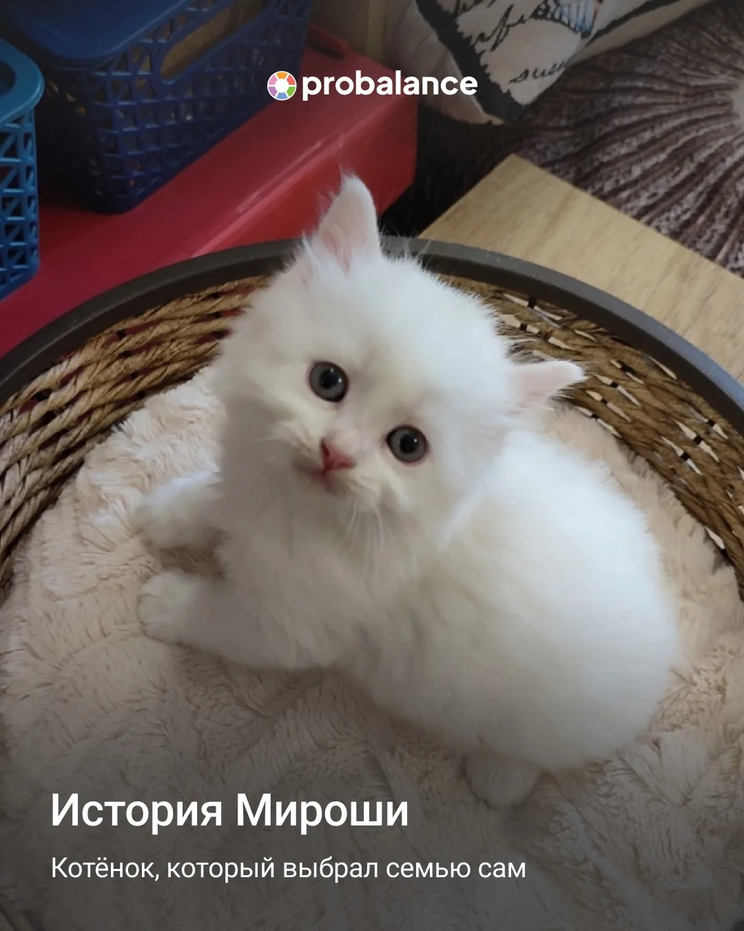 Вновь подводим итоги «Патронажа» 😍