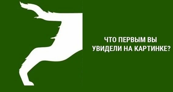 Какое у вас мышление? ЛОГИЧЕСКОЕ или ТВОРЧЕСКОЕ?