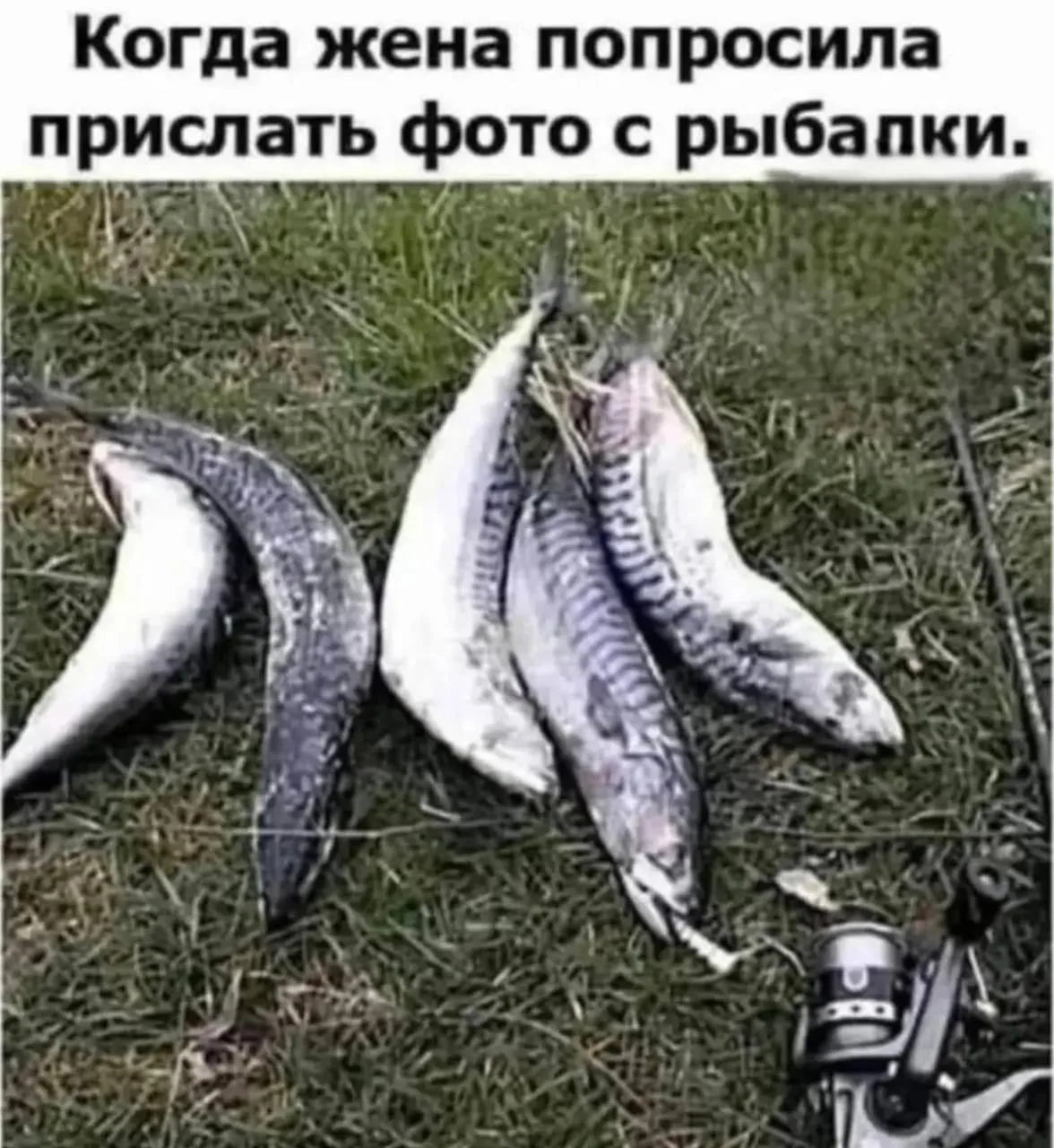 Девчата - Подписаться