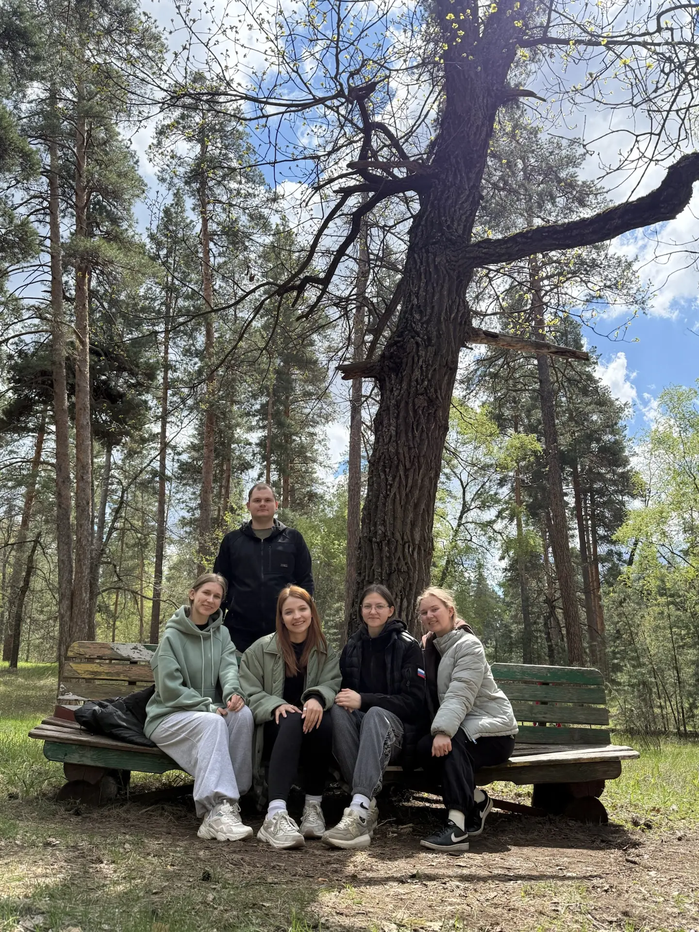 Чьи это следы петляют около лесных дорог? 🌳