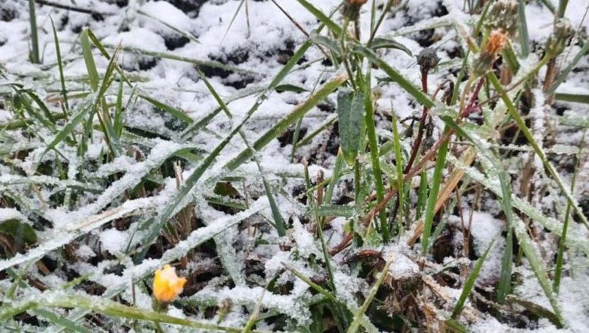 ❄️ Первый снег в Татарстане может выпасть уже в октябре