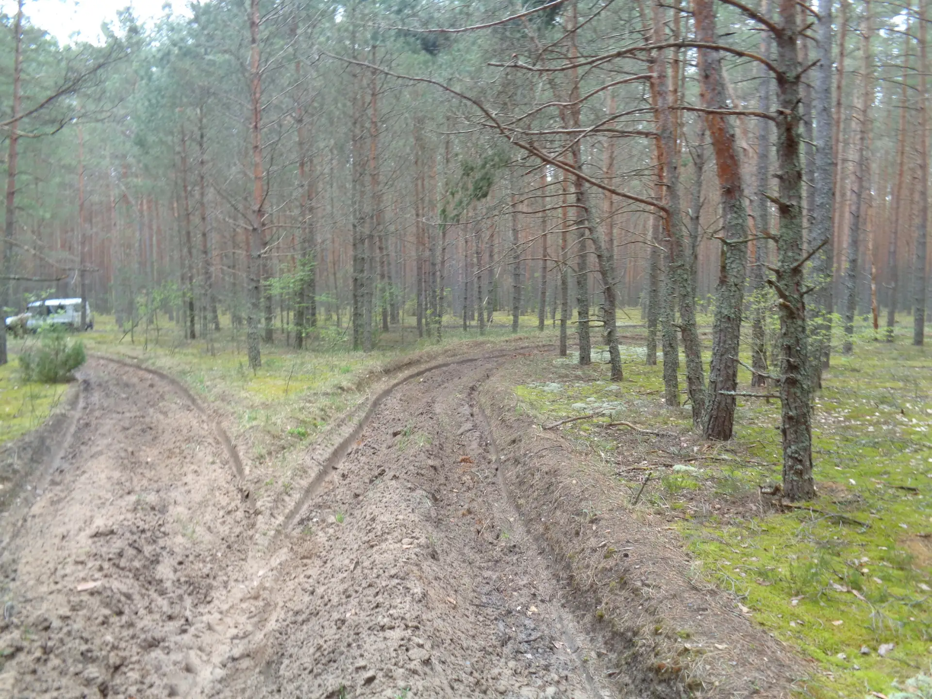 🌿На территории Ульяновского лесничества регулярно осуществляется патрулирование госуда...