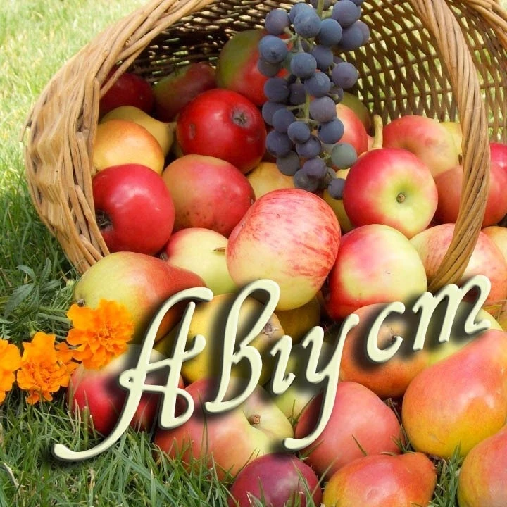 🌞 Август — последний месяц лета!