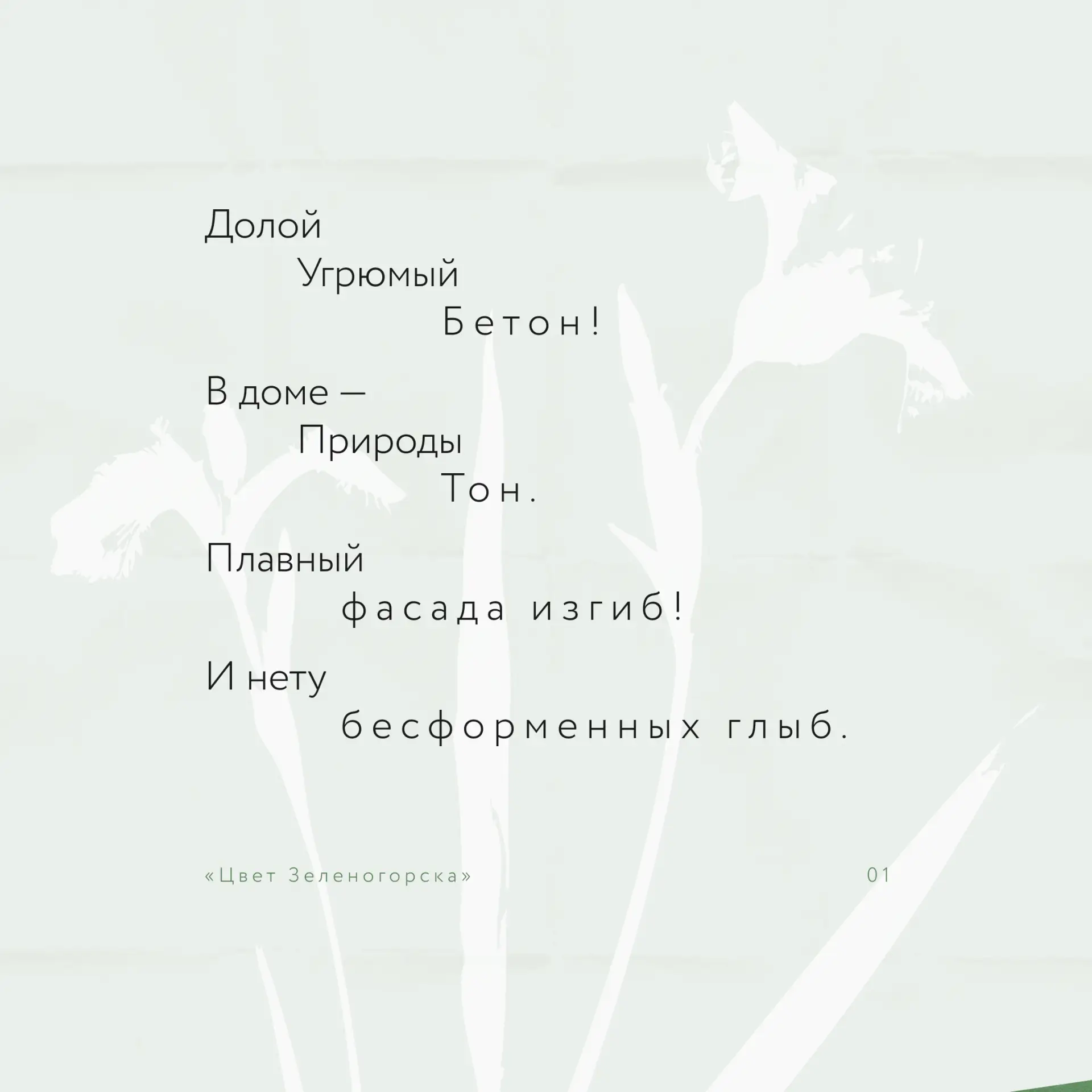 Среди сосен, у залива — жизнь течёт красноречиво