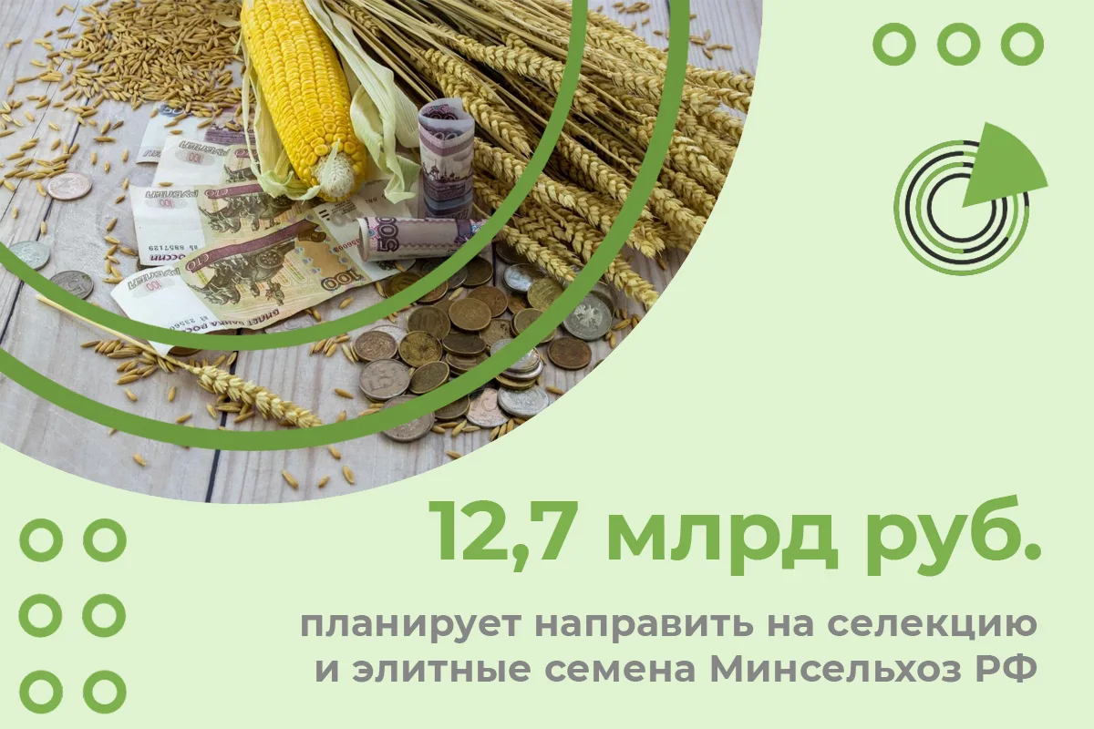 МИНСЕЛЬХОЗ РФ ПЛАНИРУЕТ НАПРАВИТЬ 12,7 МЛРД РУБ. НА СЕЛЕКЦИЮ И ЭЛИТНЫЕ СЕМЕНА