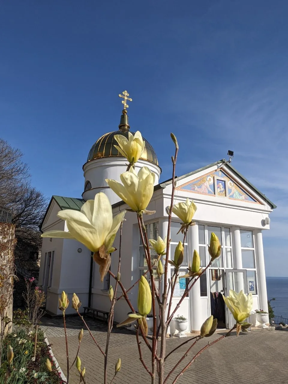 Такая нежно-жёлтая красавица у храма св. великомученика Георгия Победоносца. Свято-Георгиевский мужс