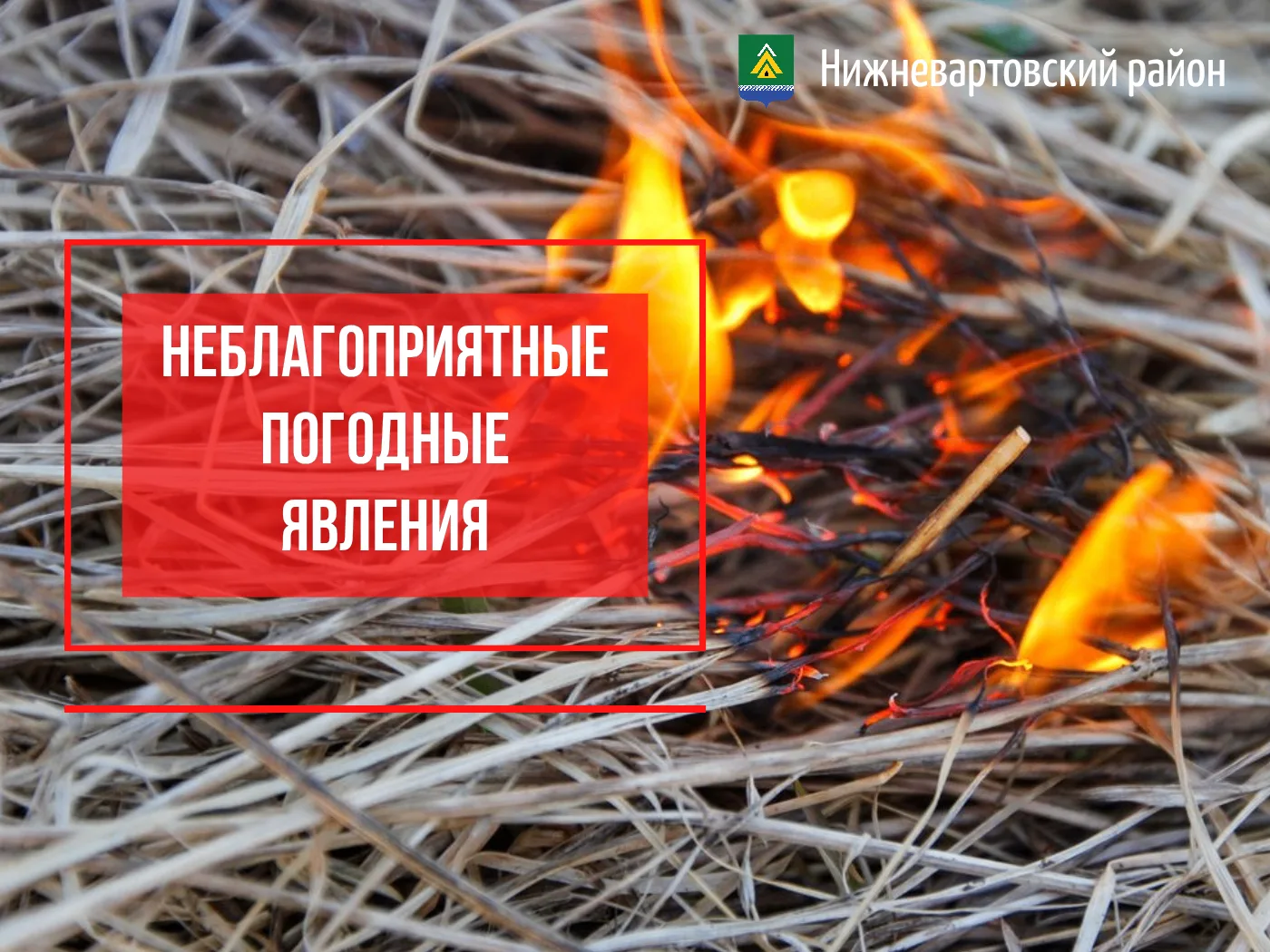 По данным синоптиков с 6 по 11 июня на территории района ожидается опасное погодное явл...