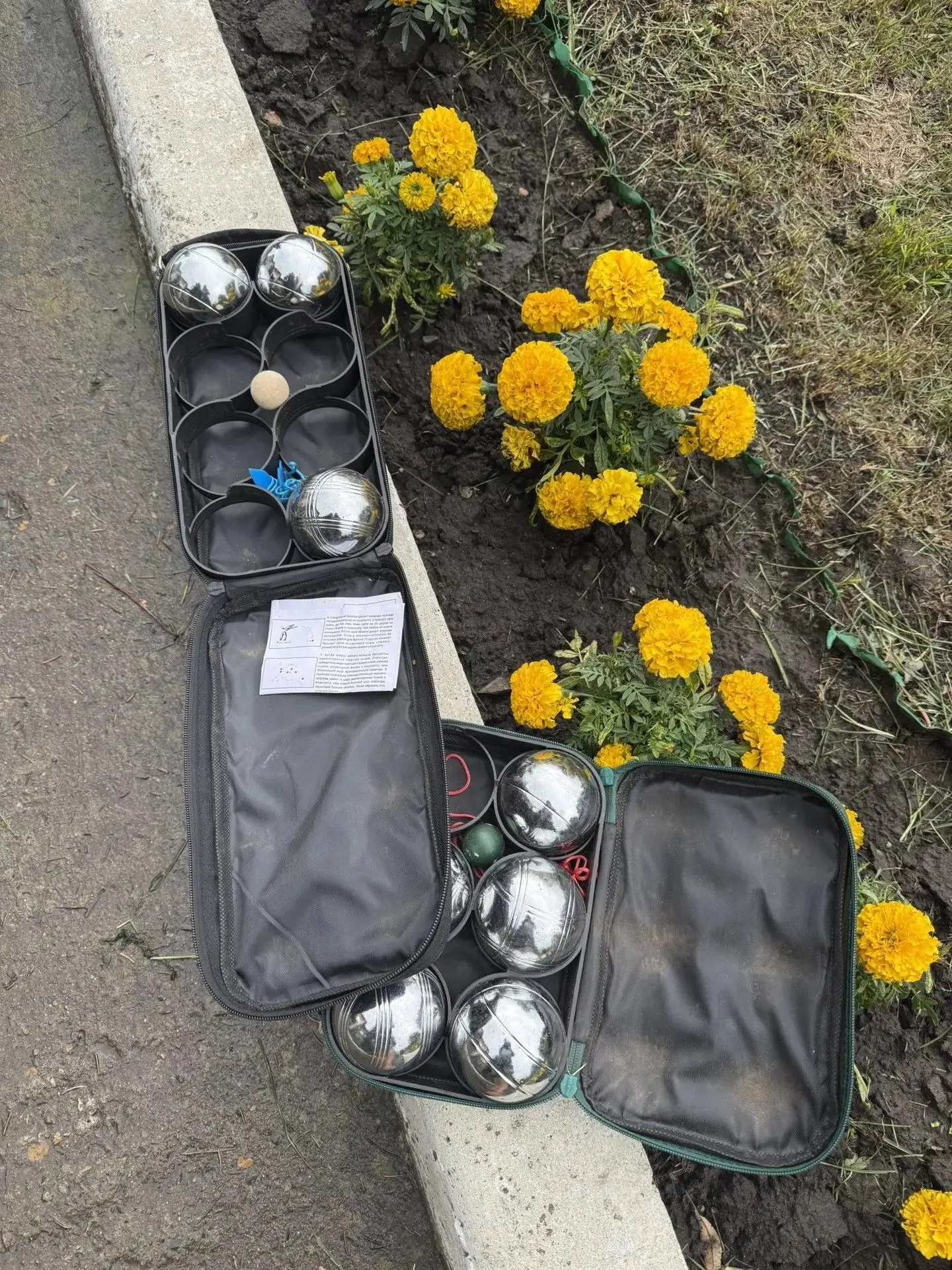 На базе Детского эколого-туристического центра в рамках досуговой площадки «Экомикс» со...