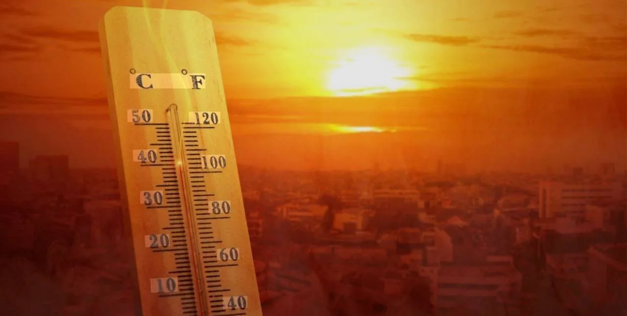 🥵 Ивановскую область накроет жара до +31°. Организм уже пишет заявление на удалёнку

11 июня синопт
