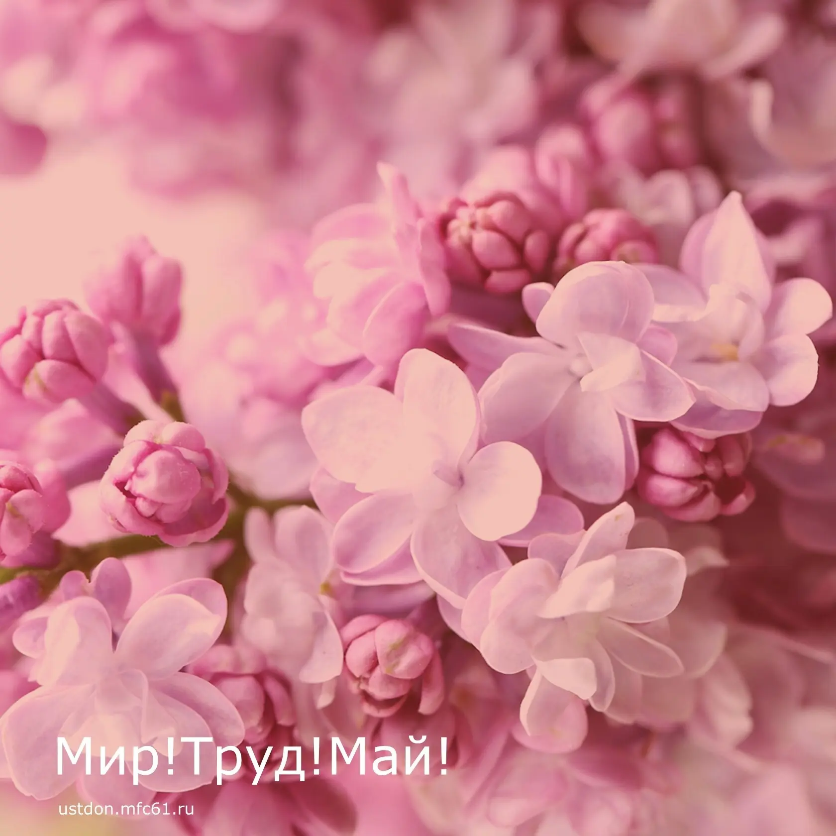 🌼Уважаемые жители и гости Усть-Донецкого района!