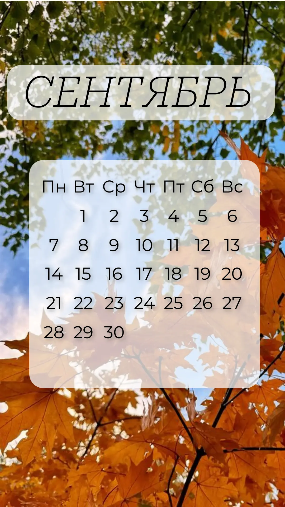 🍂Вот-вот наступит уютная осень! Самое время поменять обои на телефоне!
