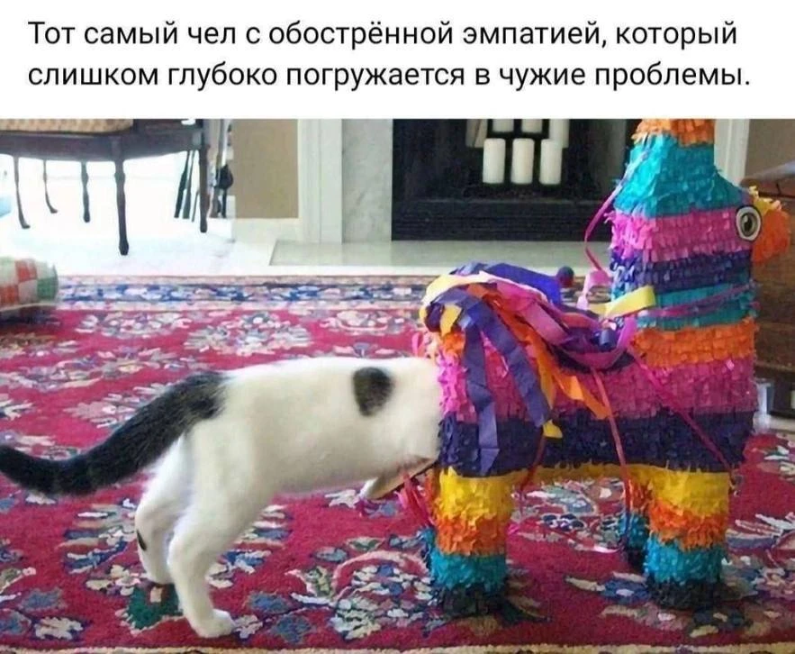 Сегодня перекличка «эмпатов» 😁