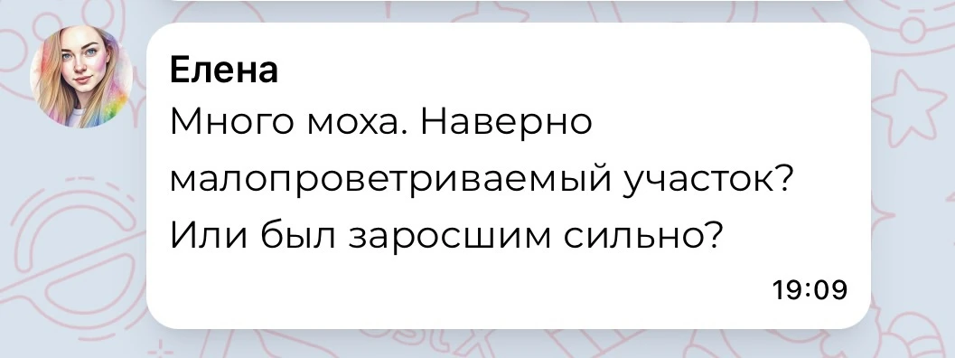 По поводу мха и заросшести участка. Вот фото, как выглядело это место участка с сегодня...