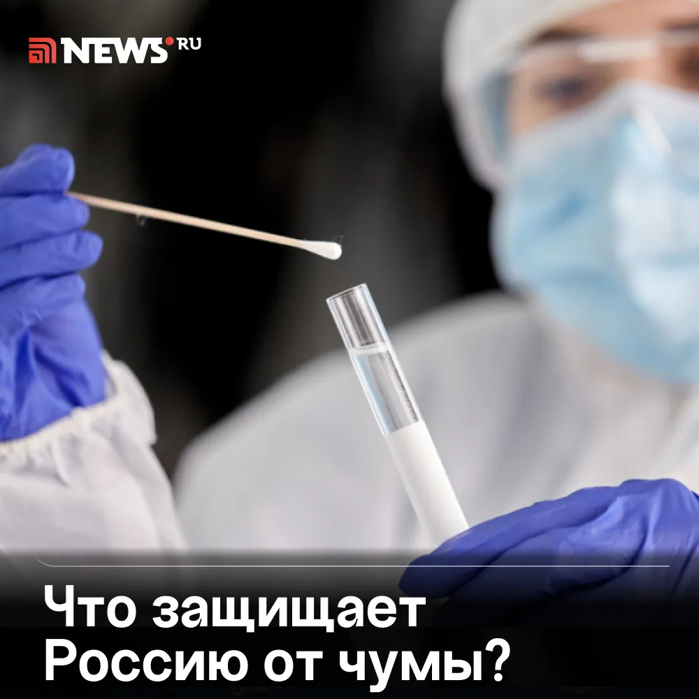 «Поводов для паники нет»: врач раскрыла, почему чума находится под контролем в стране.