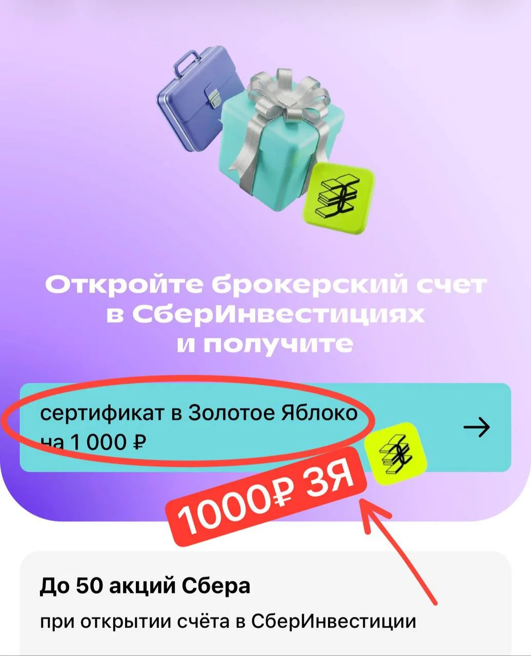 Условия—максимально простые!