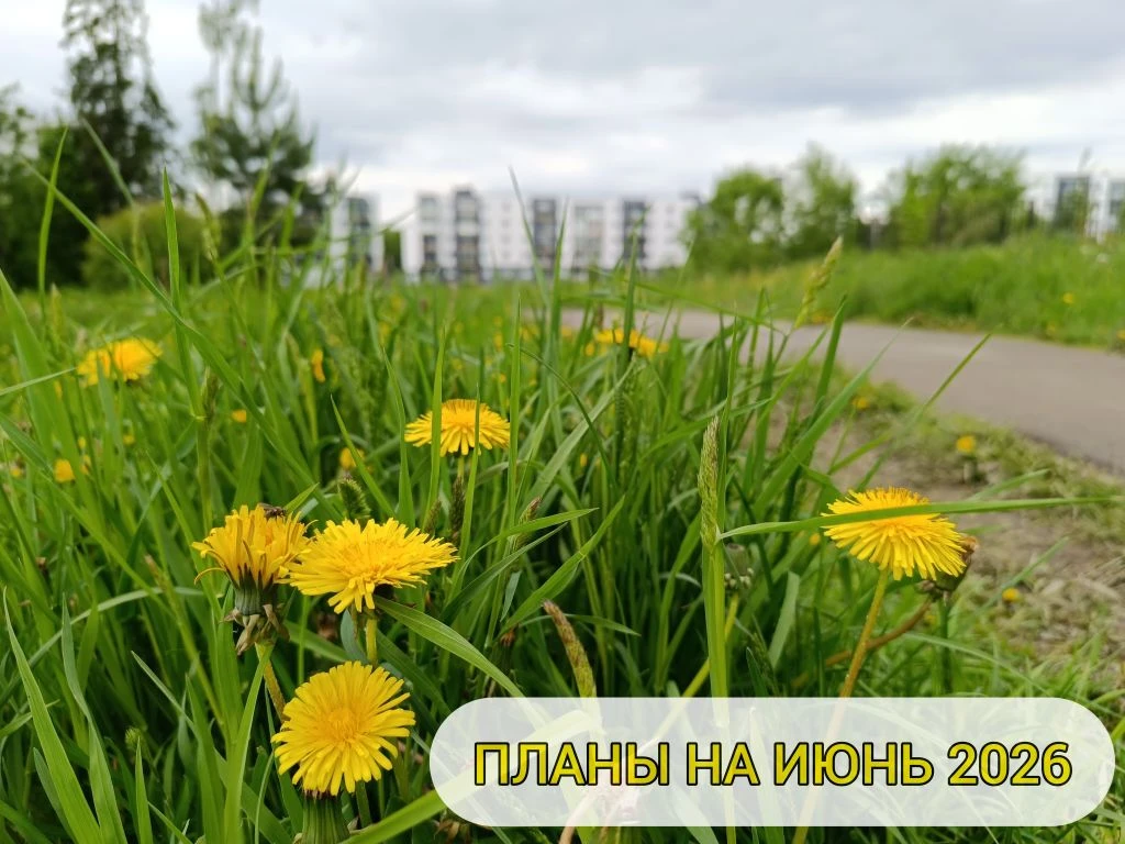 ☀️ПЛАНЫ НА ИЮНЬ☀️