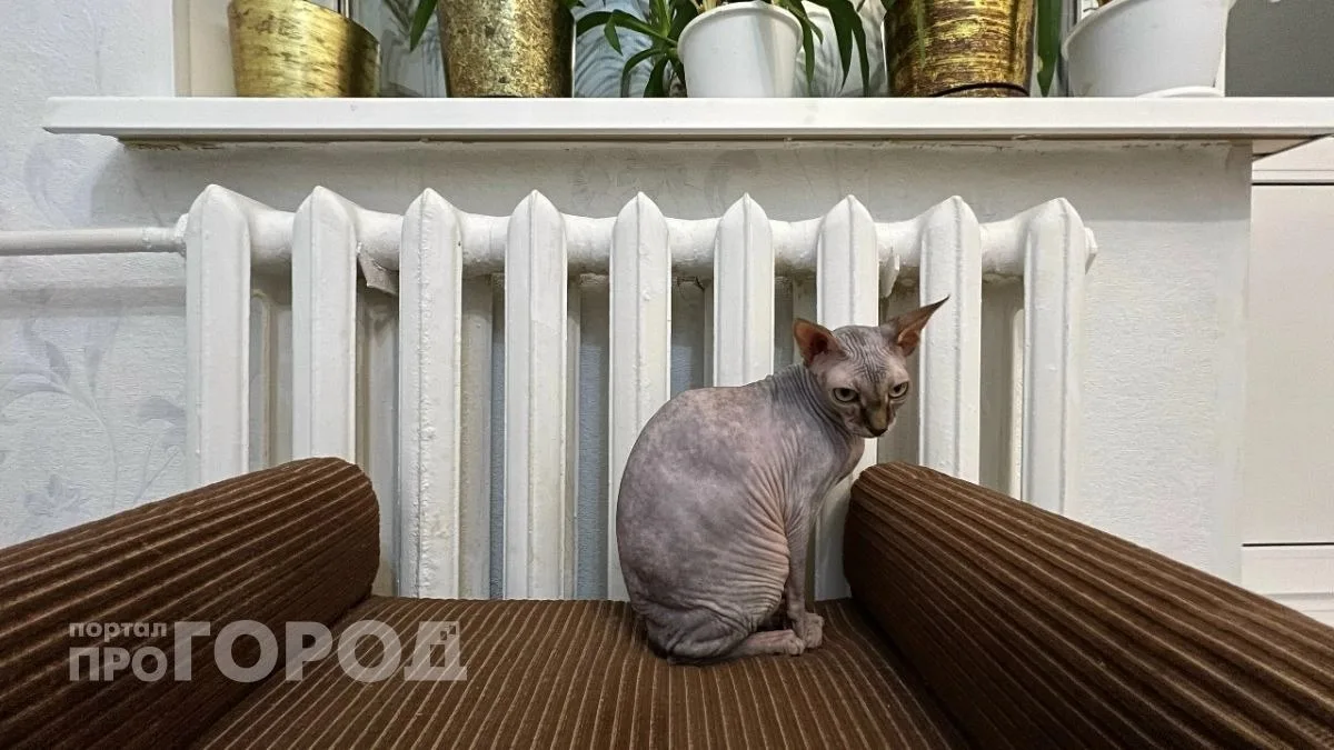 В Новочебоксарске официально стартовал отопительный сезон. Сегодня городские службы нач...