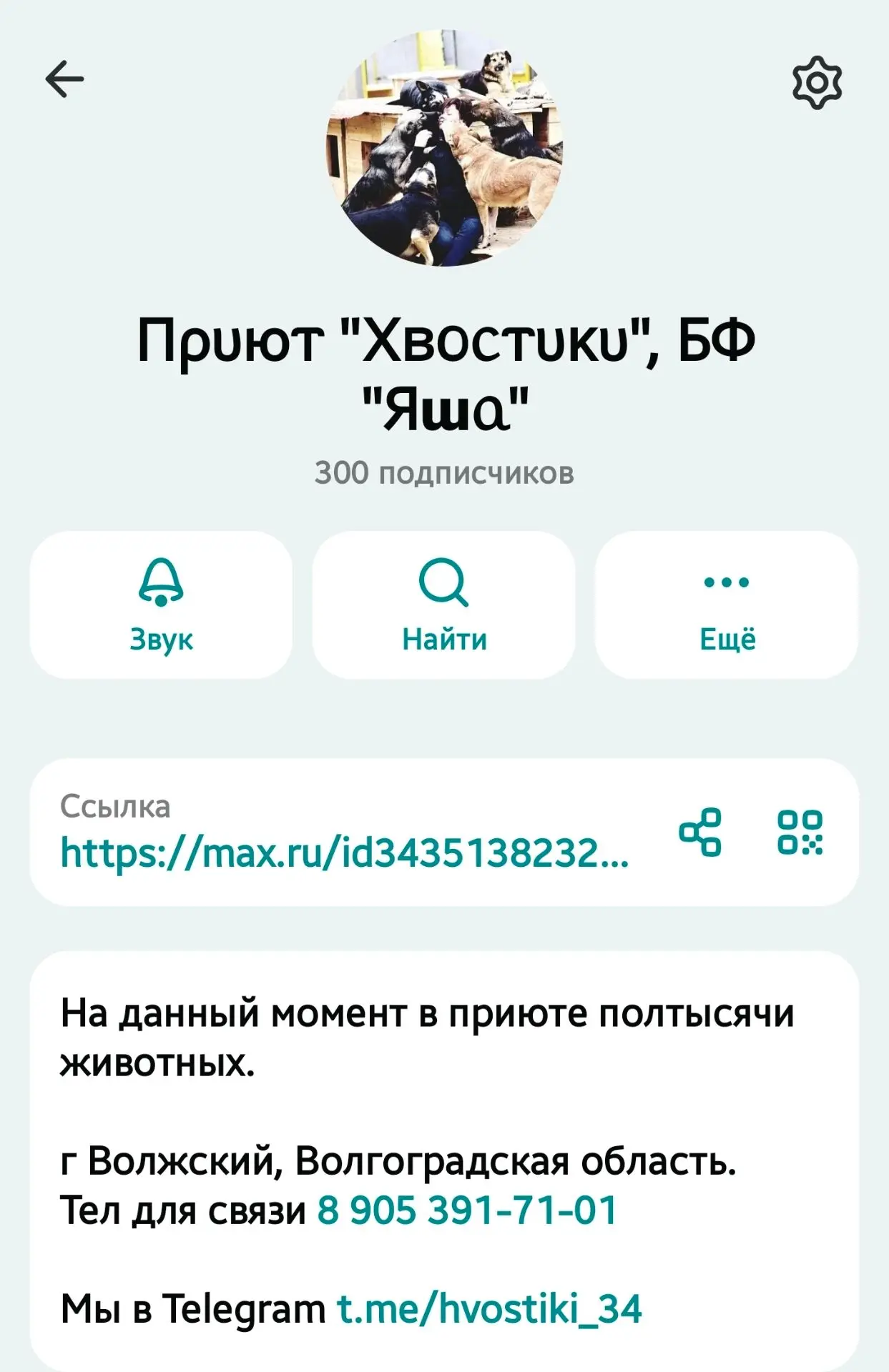 Спасибо что вы с нами 🐾