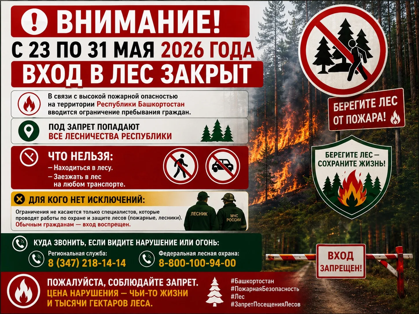 ❗ ВНИМАНИЕ: С 23 по 31 МАЯ 2026 ГОДА ВХОД В ЛЕС ЗАКРЫТ