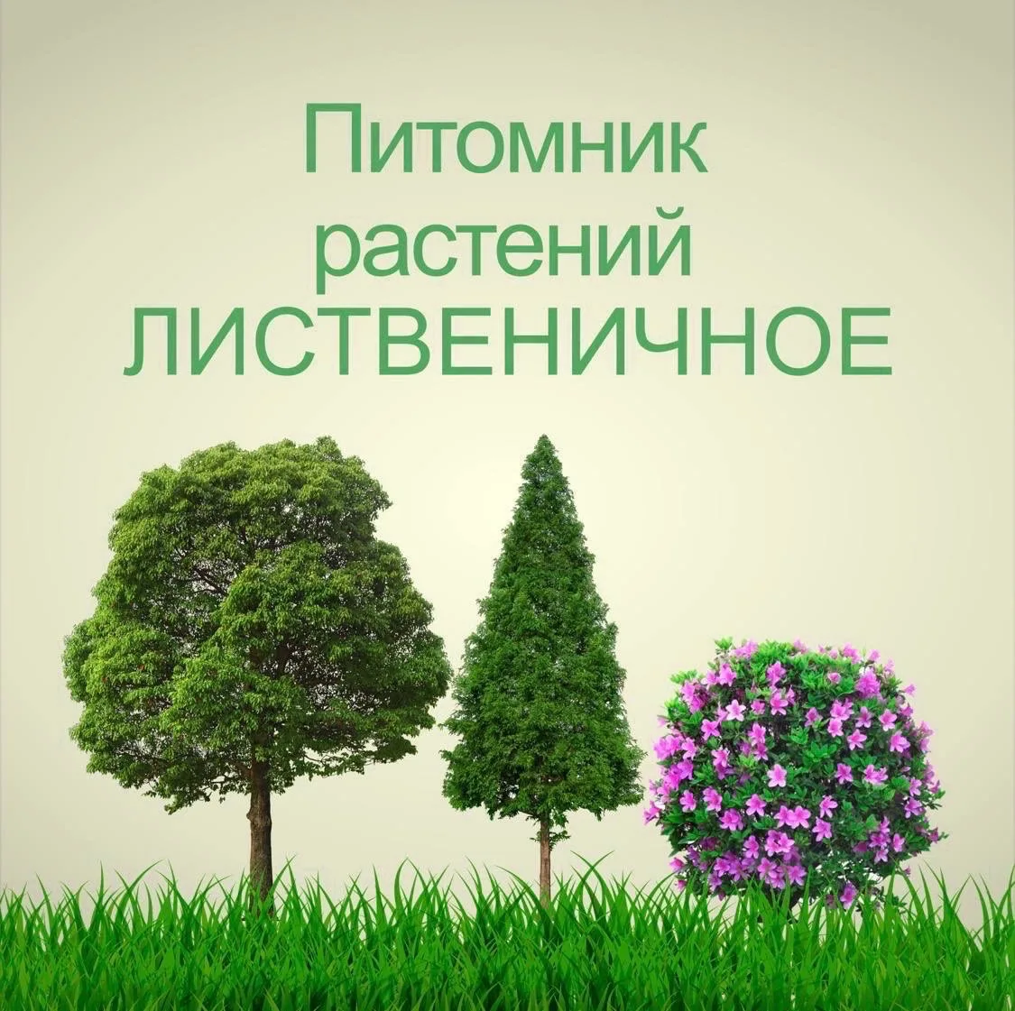 🌲Питомник «Лиственичное» объявляет 20% СКИДКУ на весь АССОРТИМЕНТ !!! Продлится Акция ...