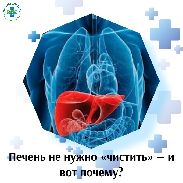Печень не нужно «чистить» — и вот почему

В интернете полно советов: почувствовали усталость, тяжест
