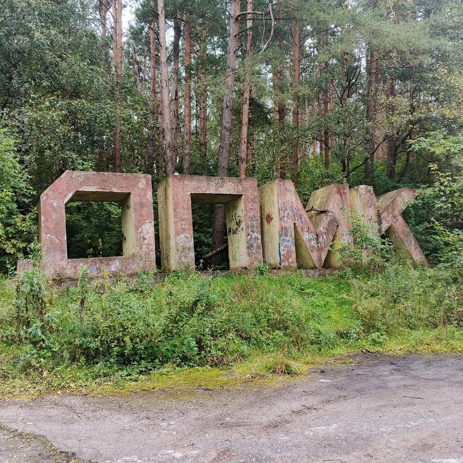 Поход за грибами.