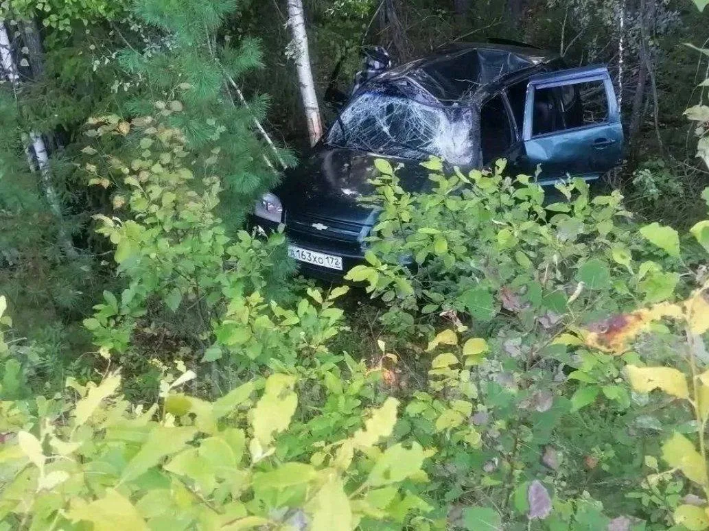 Две пьяные подружки без водительских прав разъебали родительскую шниву.