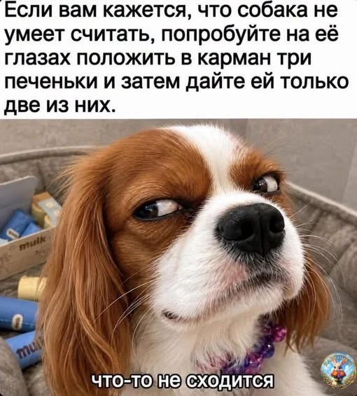 Картинки для настроения😊 | Юмор
