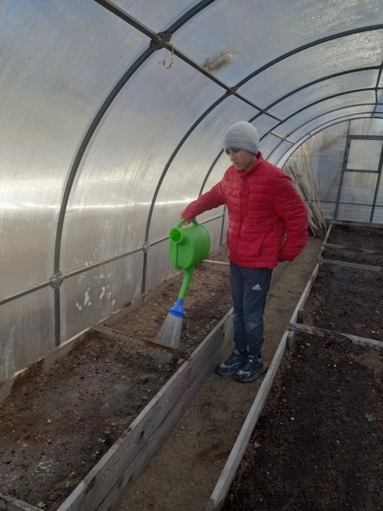 От семечка до первого урожая: наши воспитанники – настоящие аграрии! 🌱