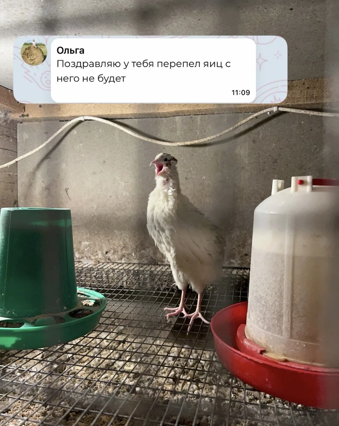 Ольга, ну вот зачем мне портите с утра настроение😁😁😁