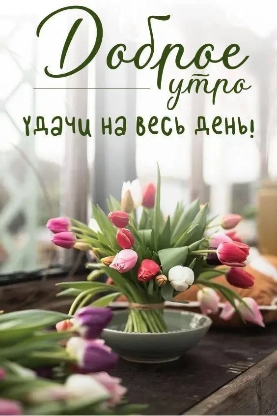 Доброе утро. Хорошего дня и отличного настроения!