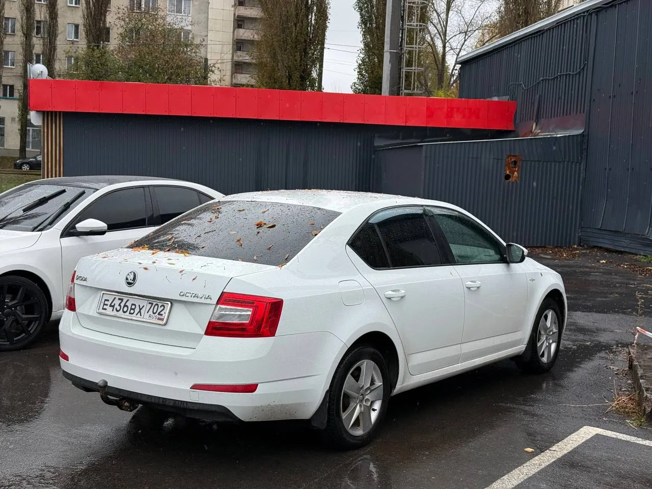 Skoda Octavia за 900 тысяч рублей 😱
