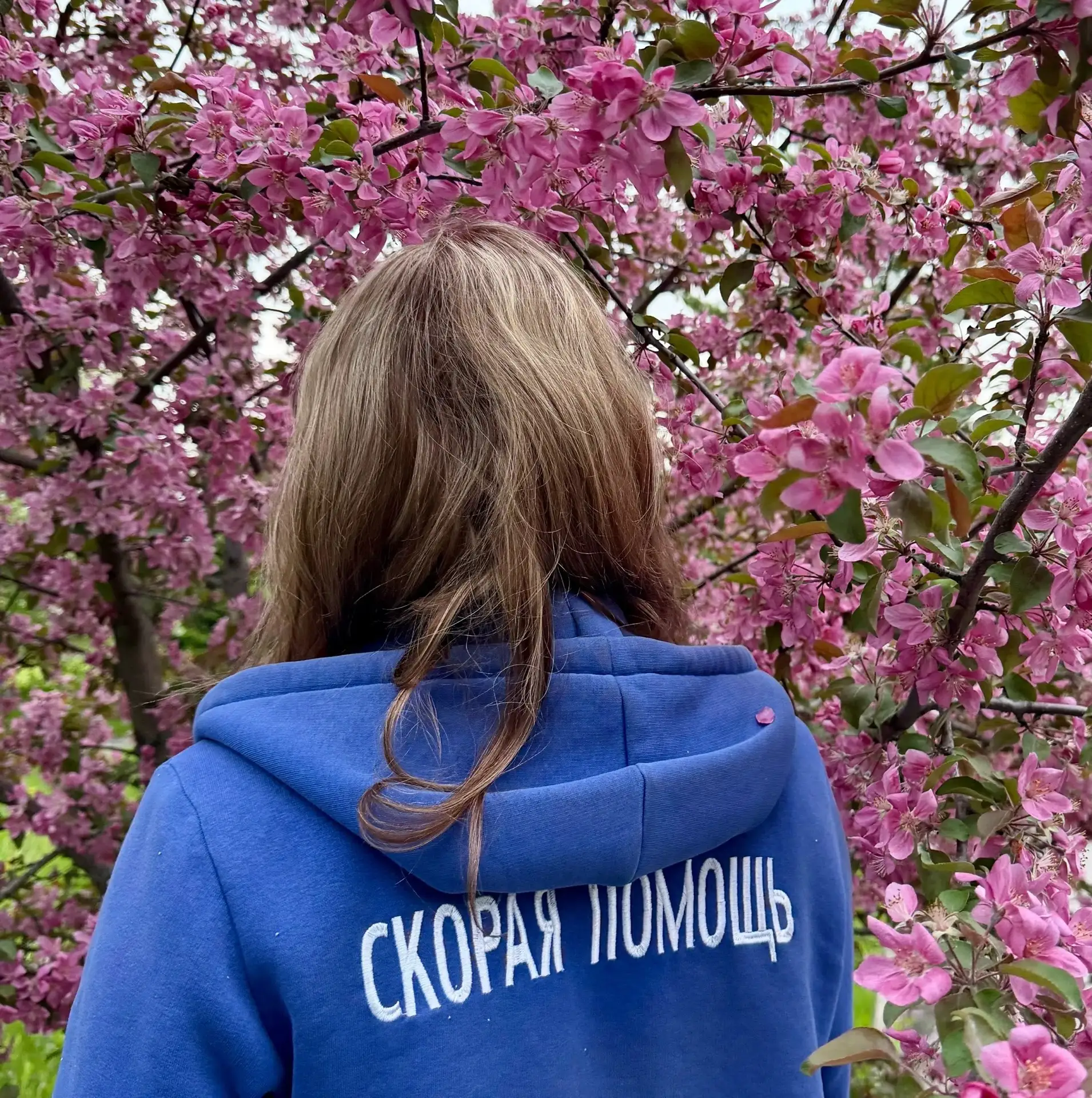 Берёза, злаковые и сорные травы цветут одновременно. Это значит, что концентрация пыльцы в воздухе д