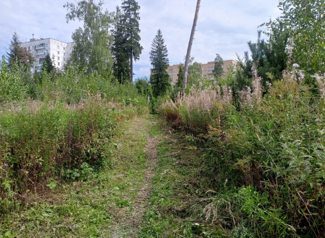 Предлагаем разбавить вечерок умиротворяющим пейзажем из Менделеево 🌿Анонимочка