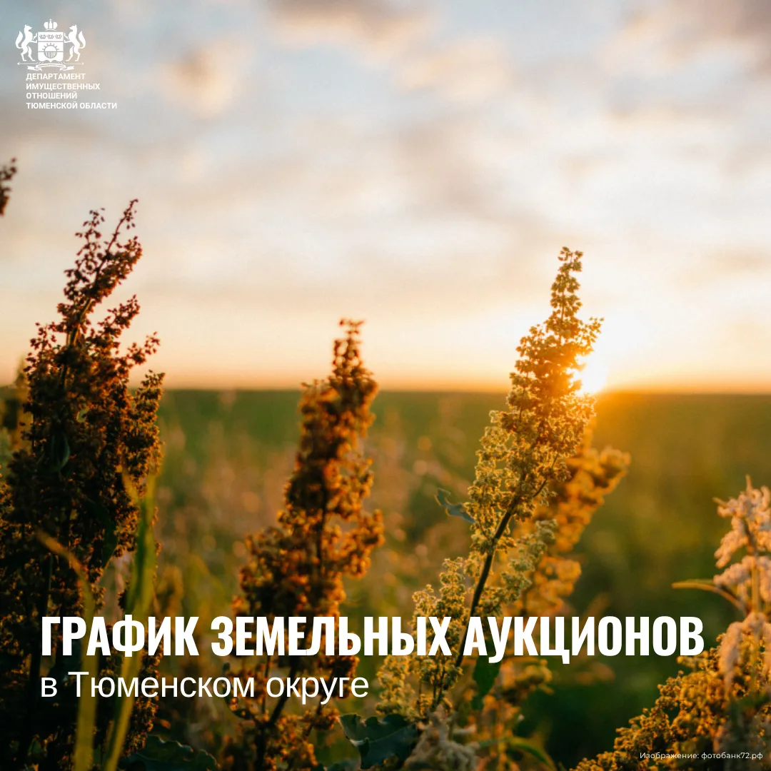 🗓️  Публикуем график ближайших земельных аукционов
