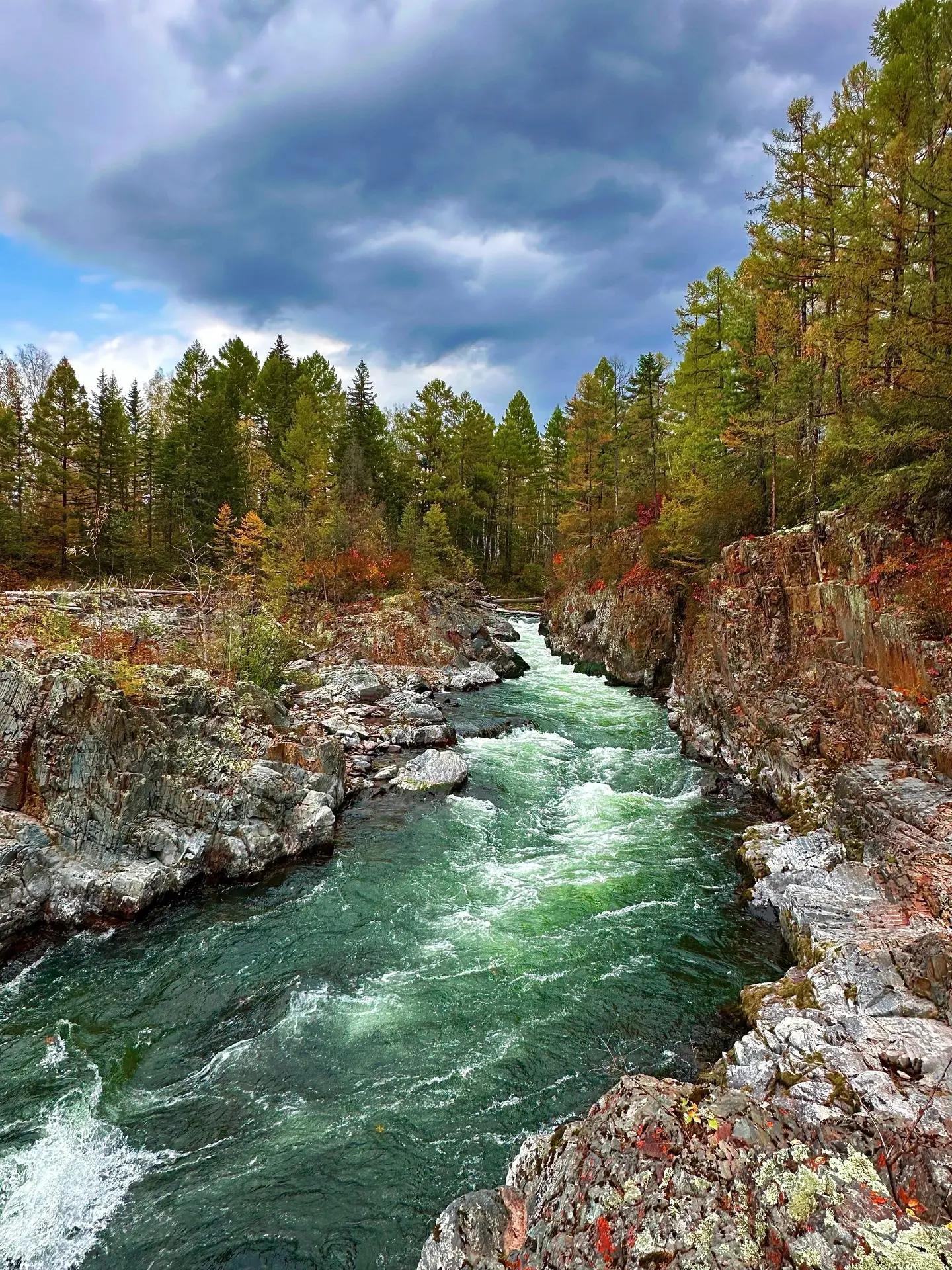 Золото тайги и рев порогов: осень на реке Кема 🌊🍂