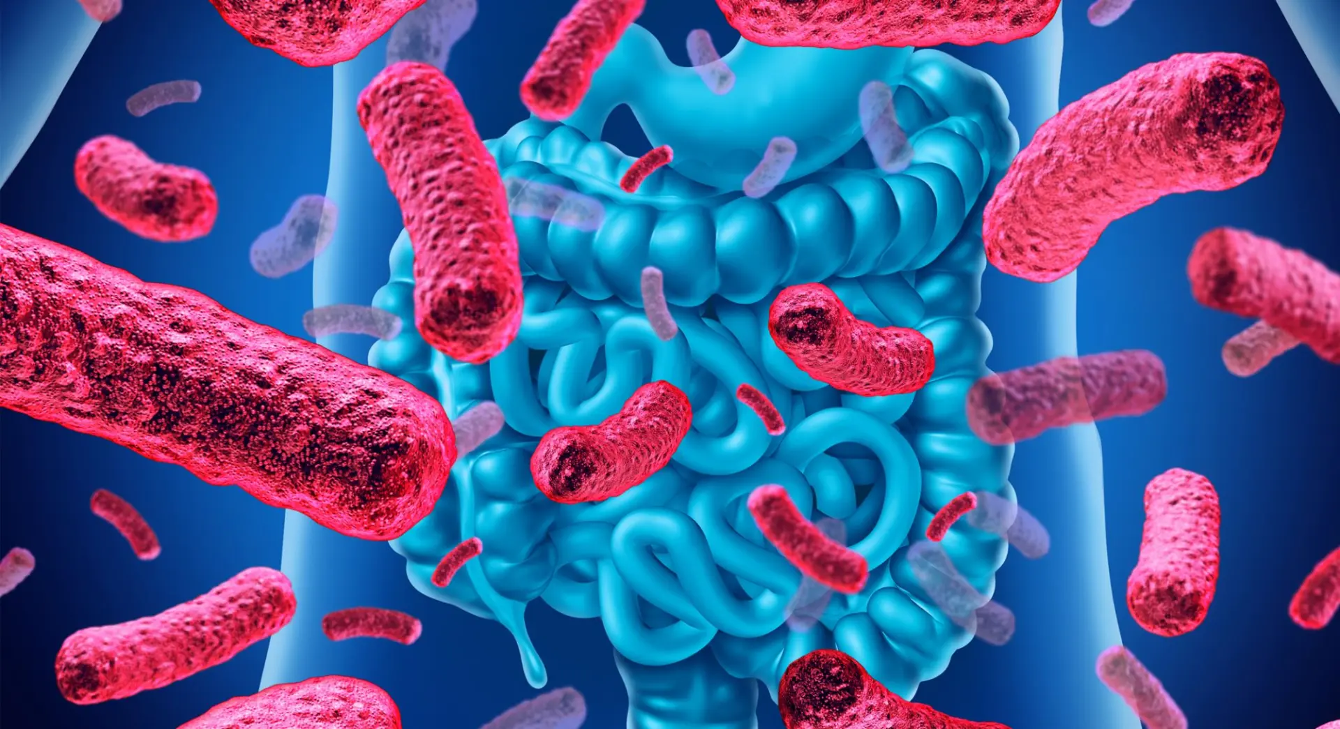 Профилактика кишечных инфекций

Среди населения города  за 5 месяцев 2026 года зарегистрировано 47 с