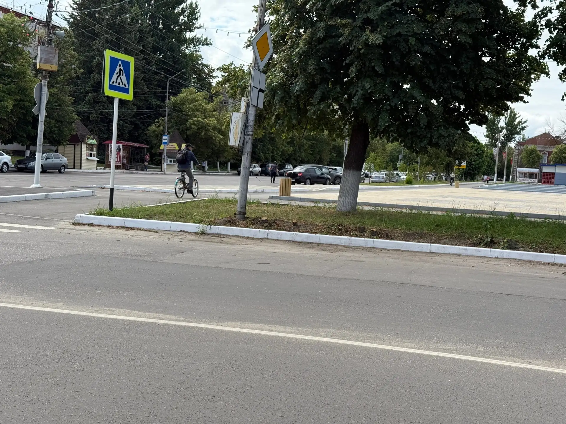 Хочется выразить огромную благодарность Администрации города, что вырубили кустарники, ...